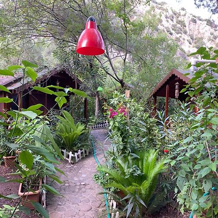 Canario Bungalows Çıralı Exterior foto
