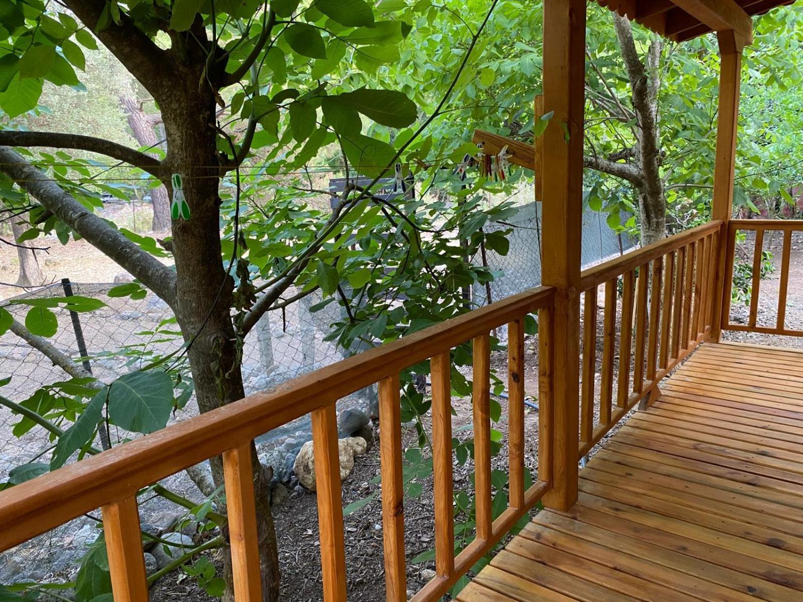 Canario Bungalows Çıralı Exterior foto